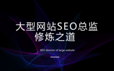 大型网站SEO总监修炼之道