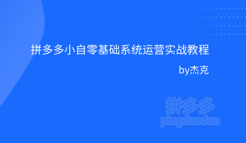 【推荐】2025年拼多多小白零基础系统运营实战教程